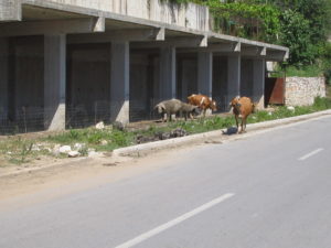 26 MAGGIO Saranda - Tirana 006