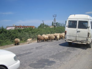 27MAGGIO da Tirana verso l'Italia 005