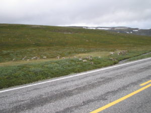 01 NORDKAPP (4)